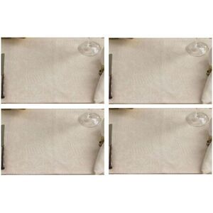 Beach Comber Jacquard Seashells and Starfish Placemats Set of 4